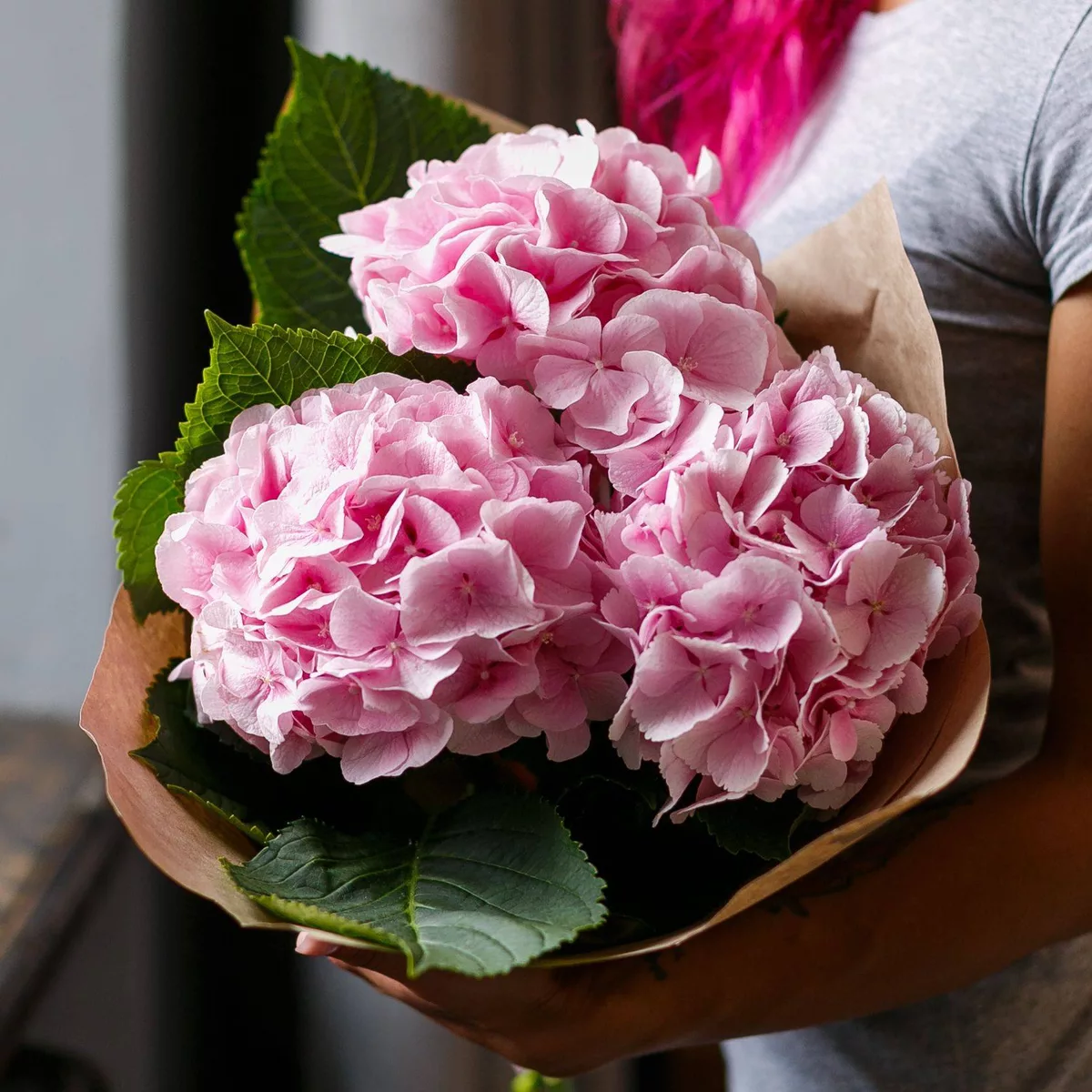 Bouquet of 3 pink hydrangeas