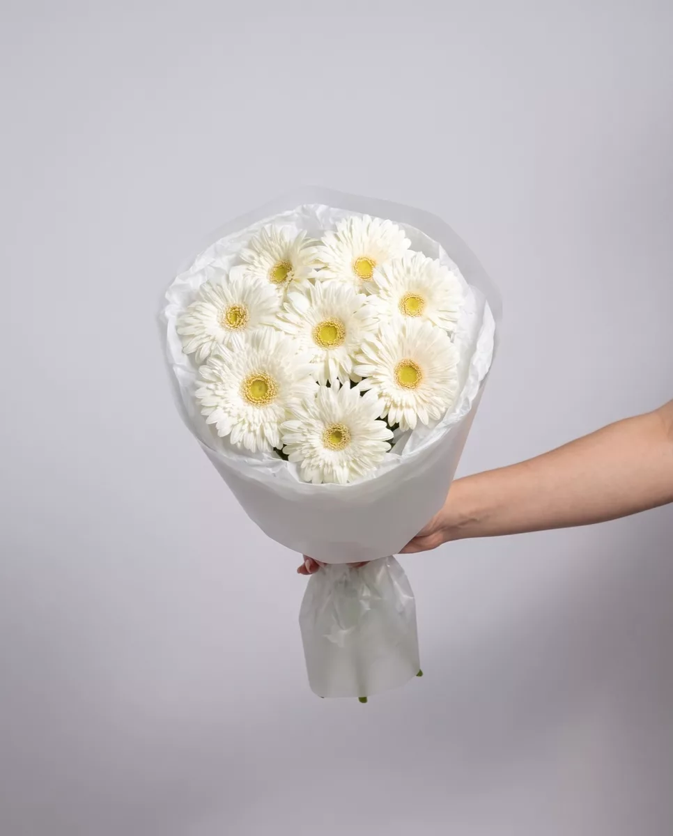 Bouquet of 7 white gerberas