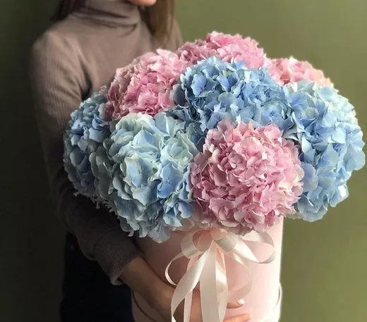 Композиция из 9 гортензий микс в шляпной коробке