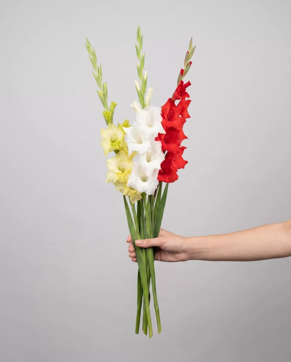 Bouquet of 3 mix