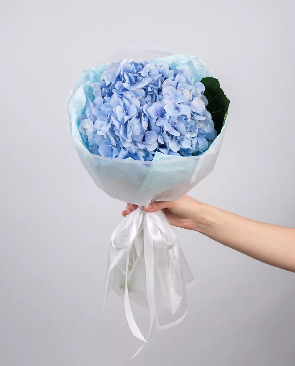 Bouquet of 1 light blue hydrangeas