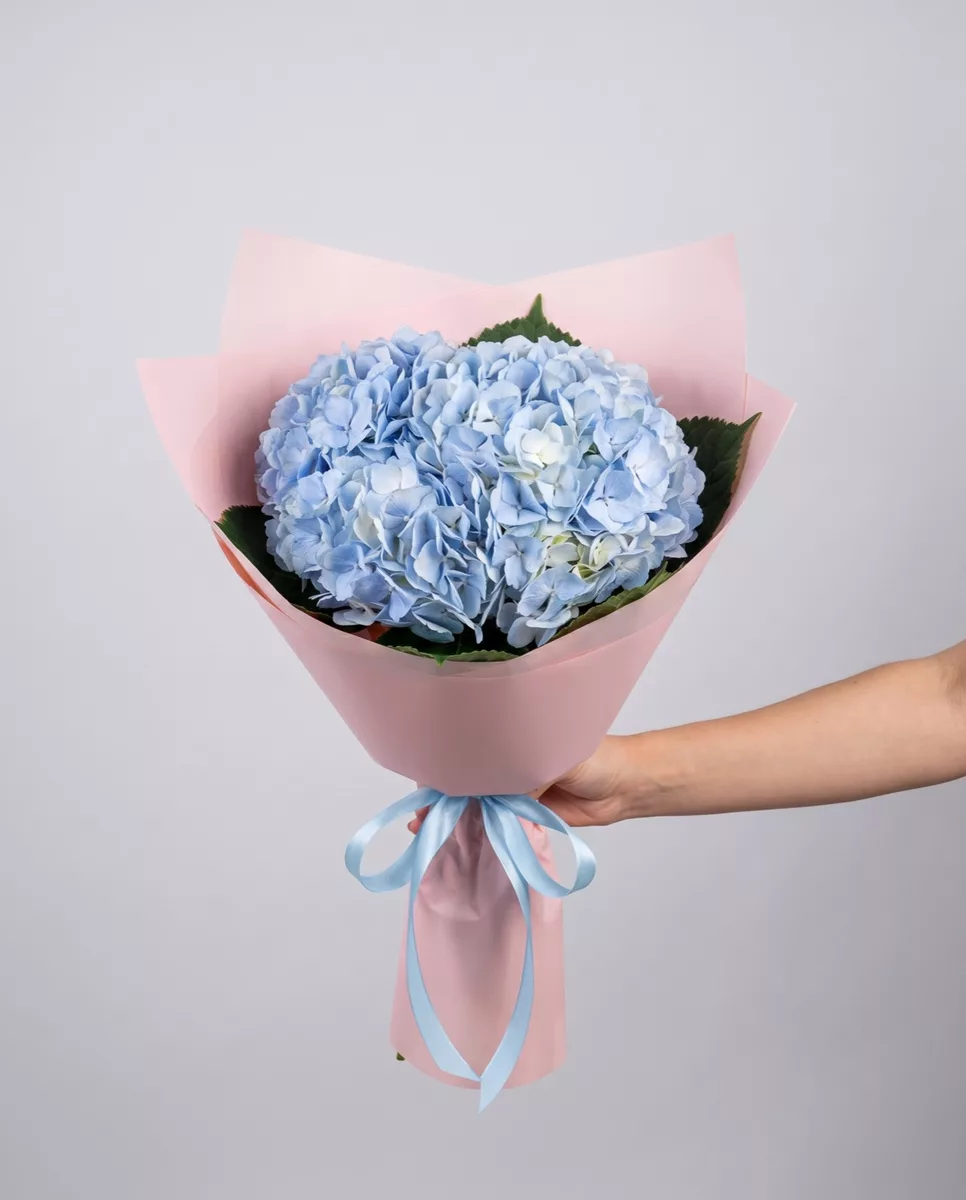 Bouquet of 2 light blue hydrangeas