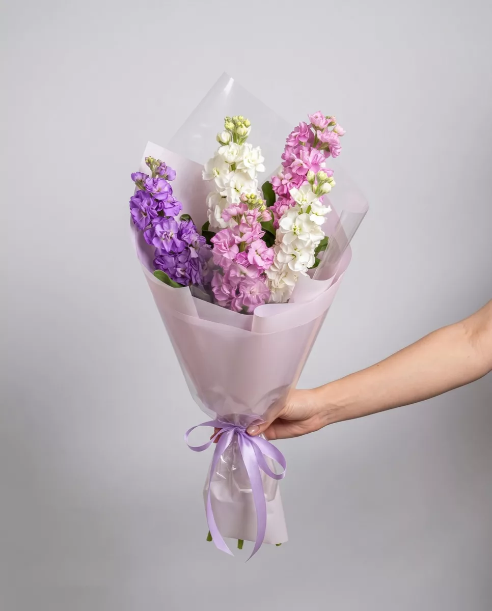 Bouquet of 5 matthiola mix