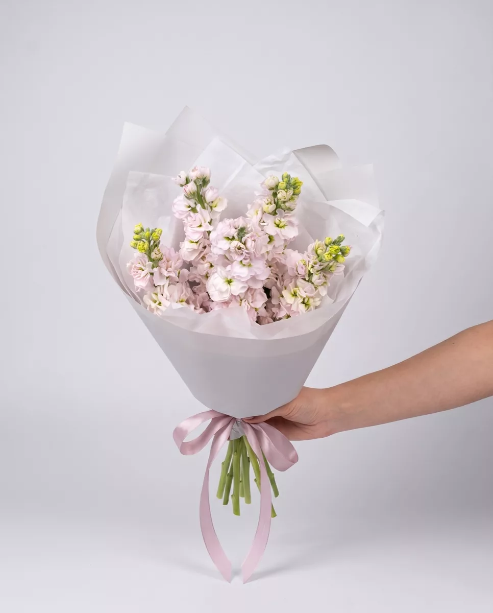 Bouquet of 5 pink matthiola