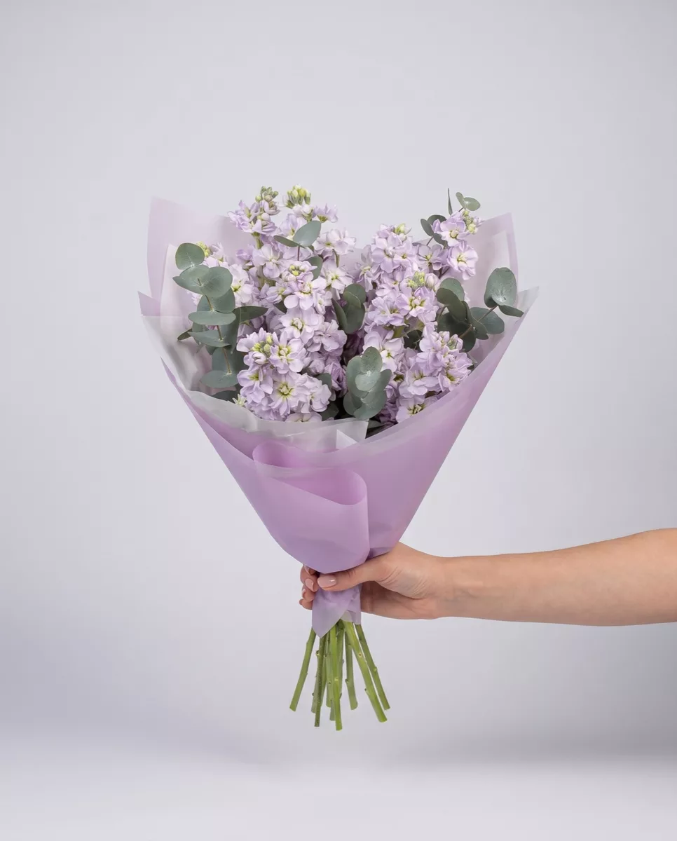Bouquet of 6 purple matthiola