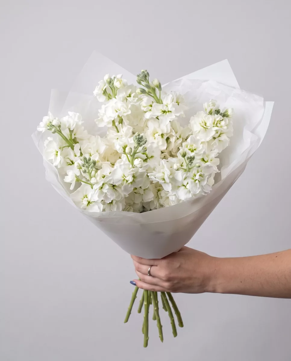 Bouquet of 7 white matthiola