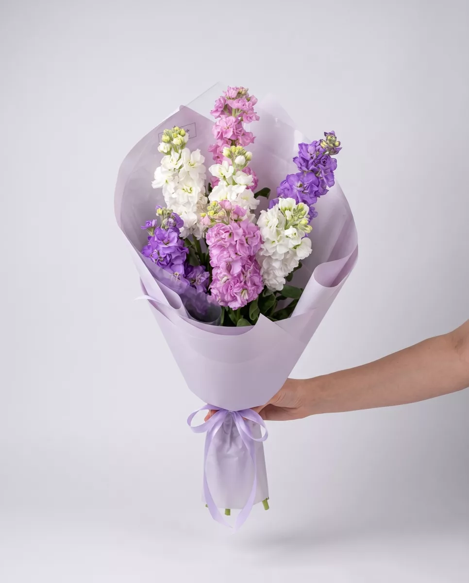 Bouquet of 7 matthiola mix