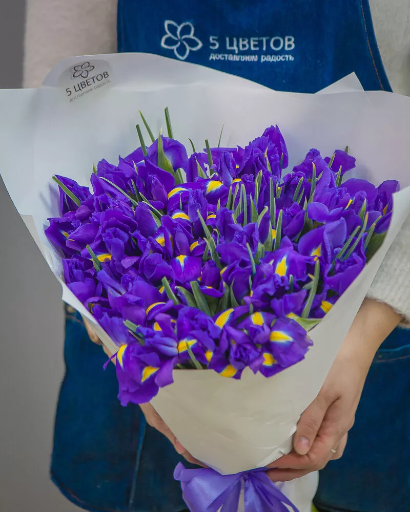 Bouquet of 51 blue irises