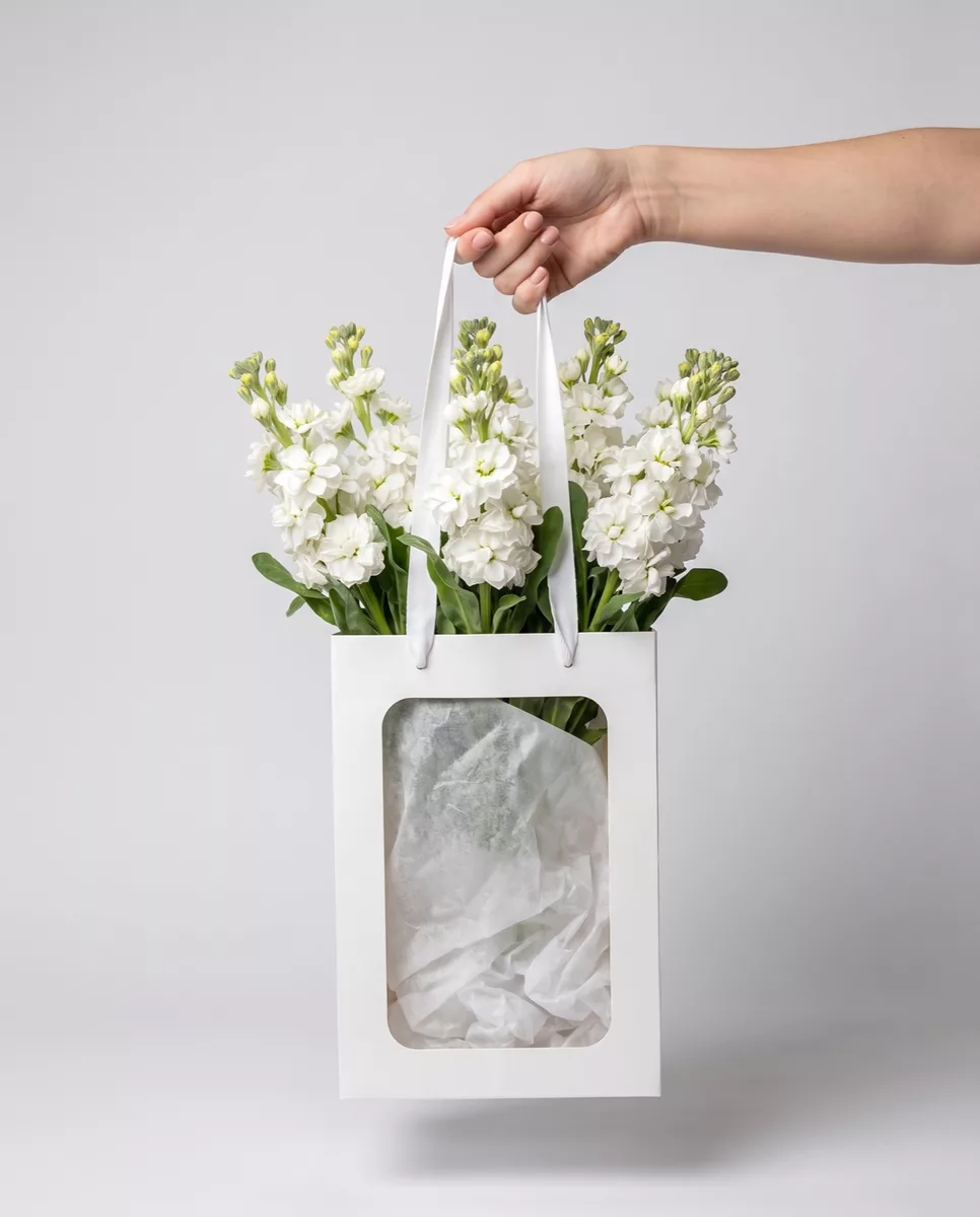Bouquet of 9 white matthiola