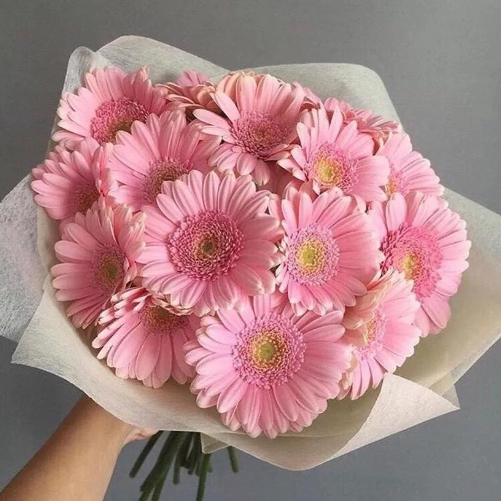 Bouquet of 11 pink gerberas