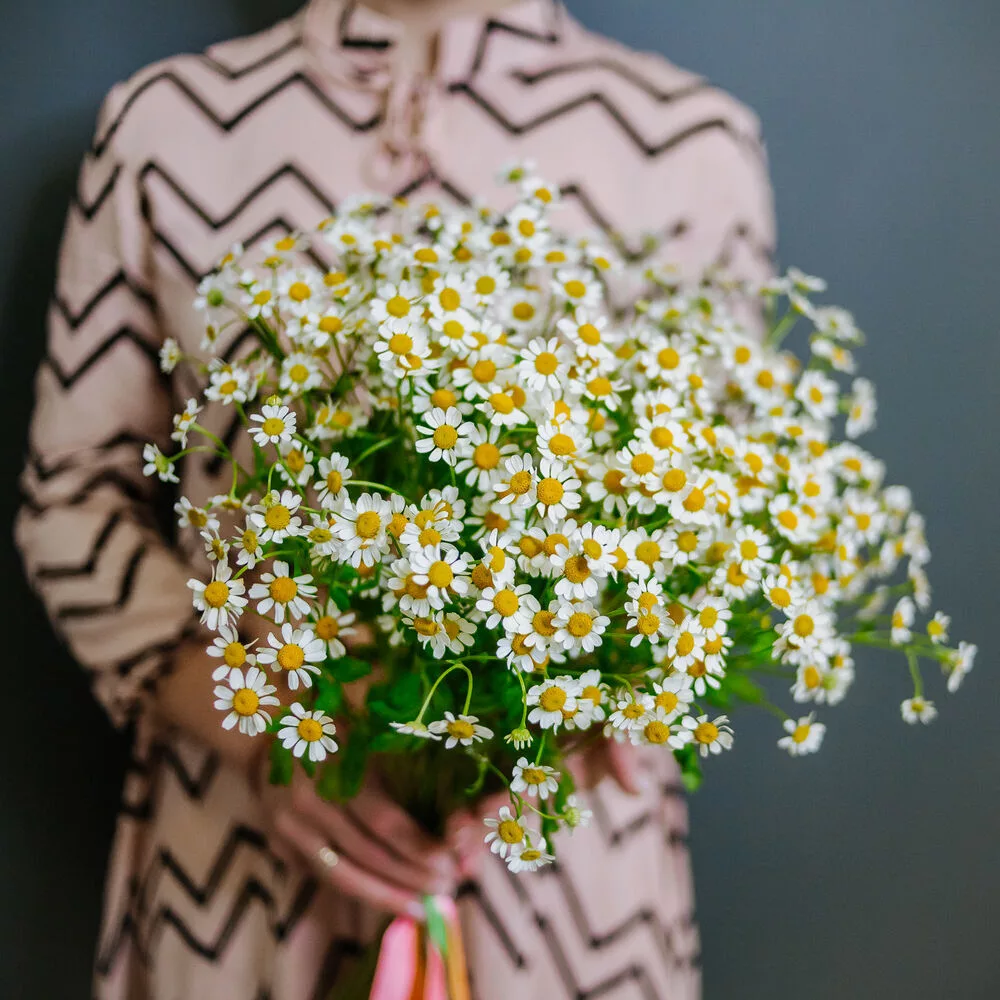 Bouquet of 15 white daisies
