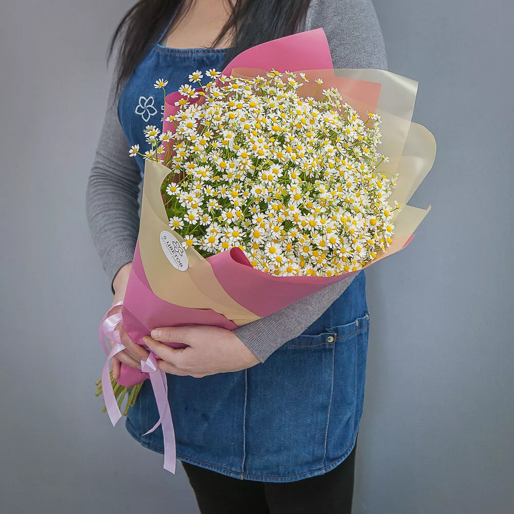 Bouquet of 51 white daisies