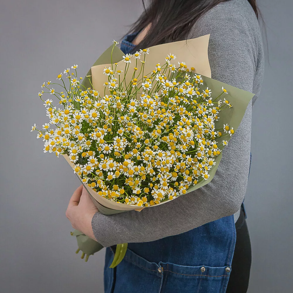 Bouquet of 19 white daisies