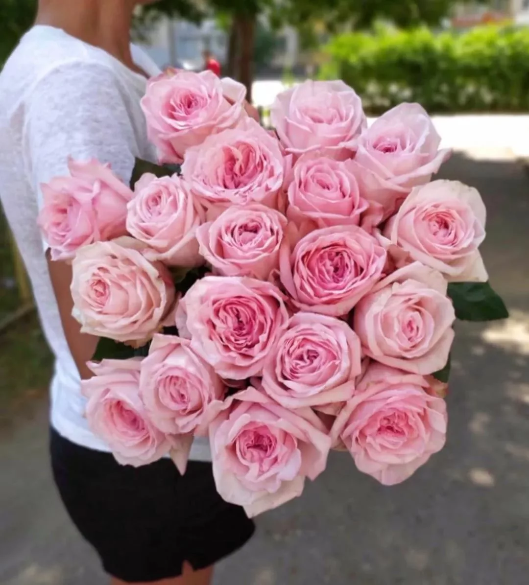 Bouquet of 15 pink peony-style roses, 50 cm