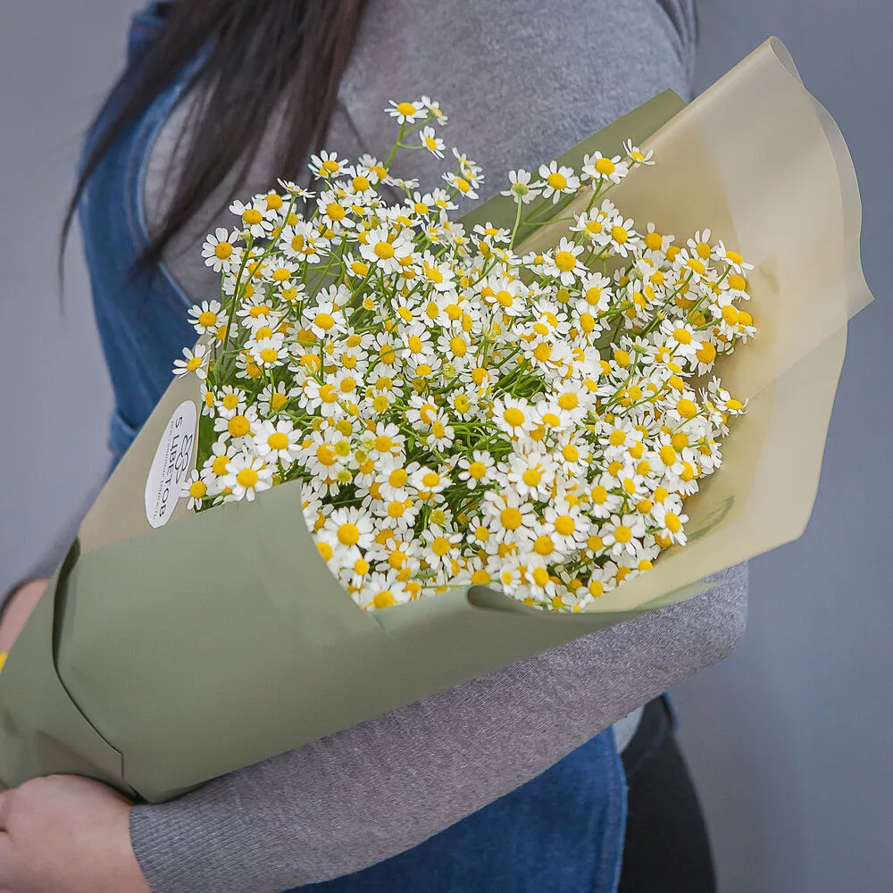 Bouquet of 35 white daisies