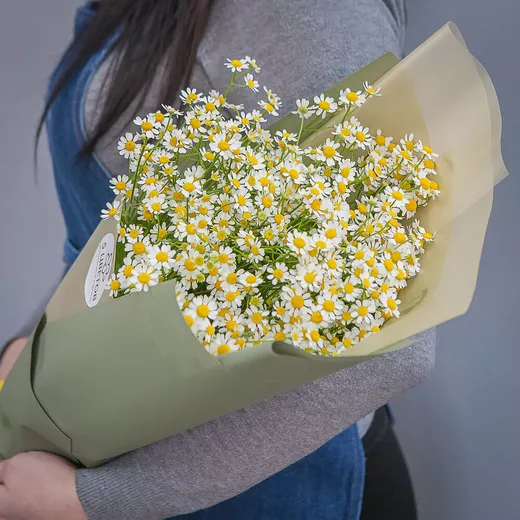 Букет живых цветов из 35 белых ромашек