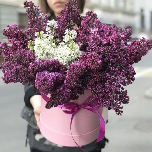 Композиция из 36 сиреневых и 5 белых сиреней в шляпной коробке