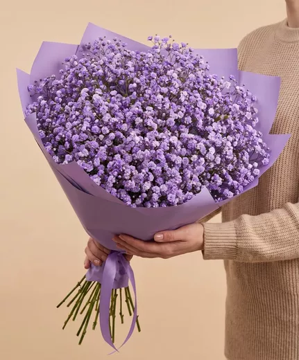 Букет живых цветов из 11 фиолетовых гипсофил