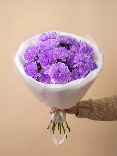 Букет живых цветов из 5 фиолетовых кустовых хризантем