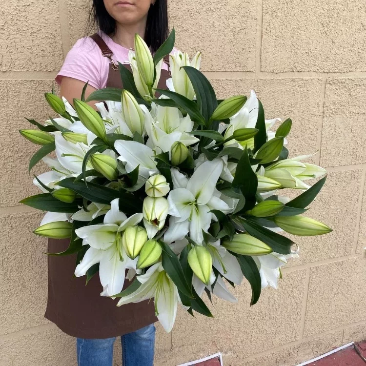Bouquet of 19 white lilies
