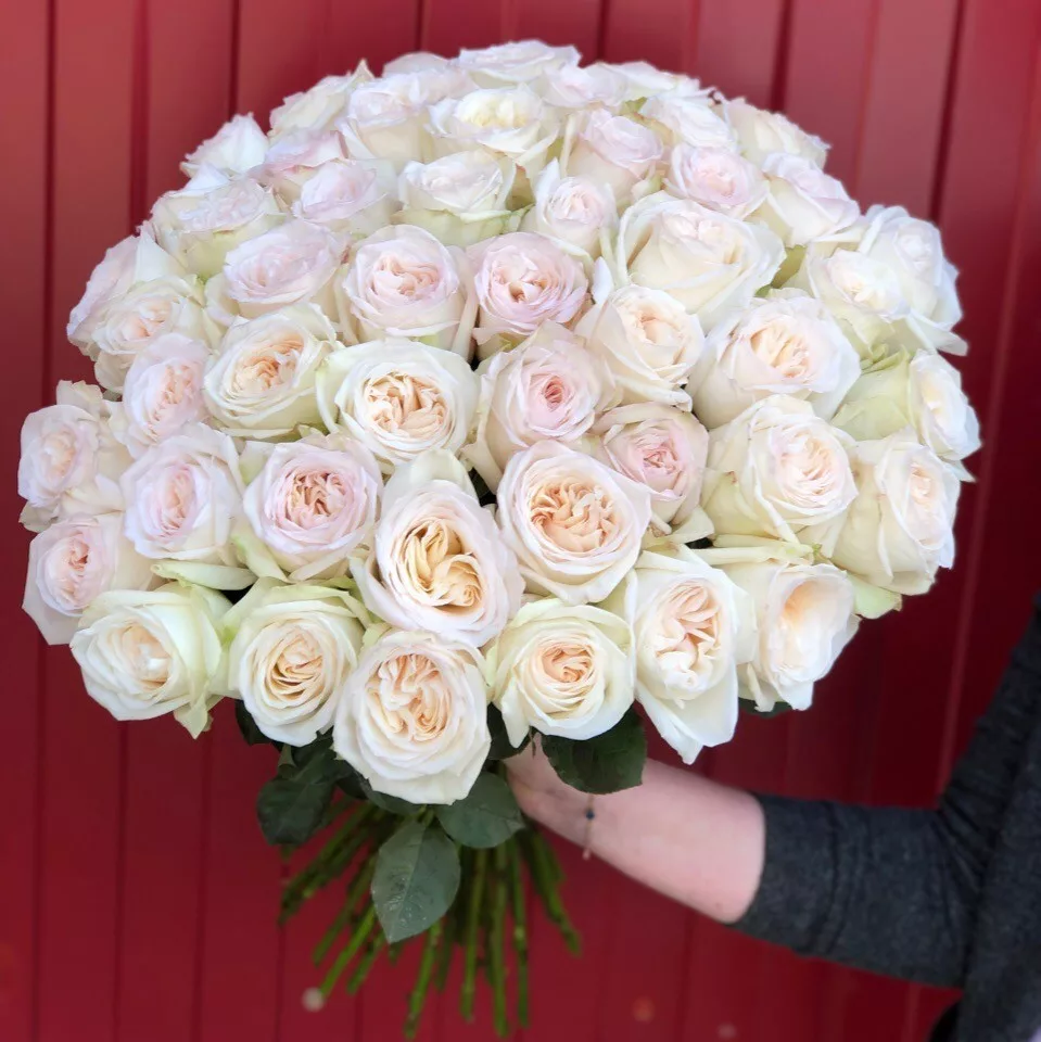 Bouquet of 51 white peony-style roses, 50 cm