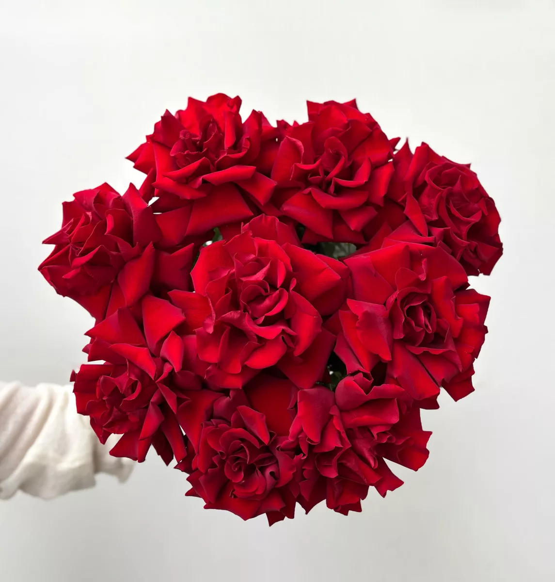 Bouquet of 9 red French roses, 50 cm