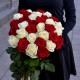 33 красно-белых роза, Эквадор 50 см