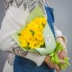 Букет из 15 желтых нарциссов