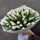 Букет 51 белый тюльпан