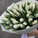 Букет 51 белый тюльпан