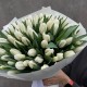 Букет 51 белый тюльпан