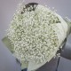 Букет цветов из 11 белых гипсофил