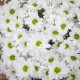 Букет из 15 белых хризантем в крафте