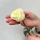 Цветы розы белые 1 шт высота 60 см, цветы на праздник, букет живых цветов, Россия