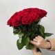 Букет из красных роз 23 шт, большой букет роз на ленте 50 см, букет живых цветов, Россия