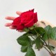 Букет из 3 красных роз высота 60 см, цветы на день рождения, букет живых цветов, Россия