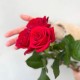Букет из 3 красных роз высота 60 см, цветы на день рождения, букет живых цветов, Россия