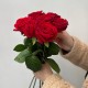 Букет из 7 красных роз 50 см, монобукет из роз на ленте, букет живых цветов, Россия