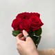 Букет красных роз 5 шт 60 см, цветы на день рождения, букет живых цветов, Россия