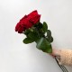 Букет красных роз 5 шт 60 см, цветы на день рождения, букет живых цветов, Россия