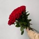 Розы красный цвет букет из 19 шт 60 см, большой букет цветов, букет живых цветов, Россия