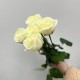 Букет из 5 белых роз 60 см, букет цветов с днем рождения, букет живых цветов, Россия