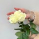 Букет из 3 белых роз высота 60 см, букет живых цветов, Россия