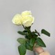 Букет из 3 белых роз высота 60 см, букет живых цветов, Россия