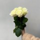 Букет из 7 белых роз высота 50 см, букет живых цветов, Россия