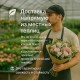 Букет красных роз 97 шт, огромный букет цветов 50 см, букет живых цветов, Россия