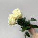 Букет белых роз 5 шт 50 см, цветы розы букет с днем рождения, букет живых цветов, Россия