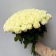 Букет белых роз 97 шт, большой букет шикарных роз 50 см, букет живых цветов, Россия
