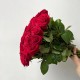 Букет 51 роза красная, большой букет цветов высота 60 см, букет живых цветов, Россия