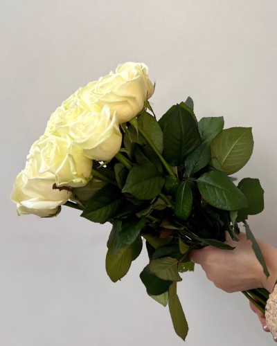 Букет белых роз из 13 шт, красивый букет из роз 60 см, букет живых цветов, Россия Букет белых роз из 13 шт, красивый букет из роз 60 см, букет живых цветов, Россия